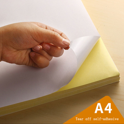 A4 A3 ขนาดพิมพ์สติกเกอร์ไวนิลกระดาษกันน้ำสติกเกอร์โฮโลแกรมฟิล์ม